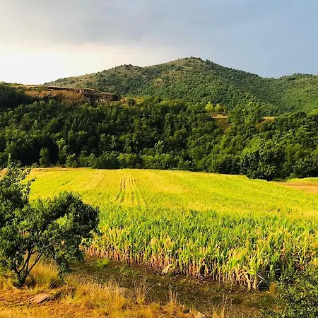 別荘 La Petite Voute *